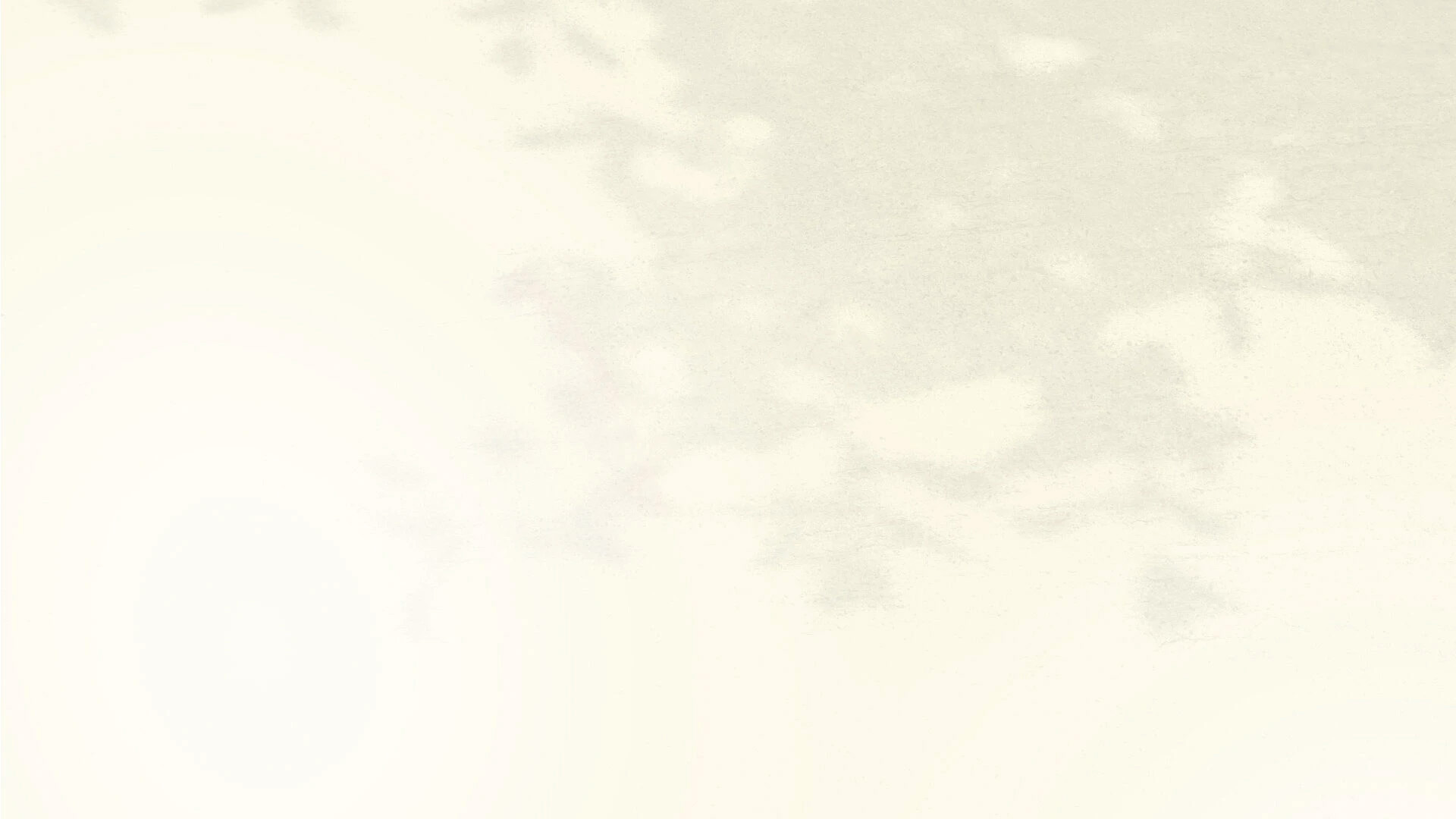 bg1.jpg